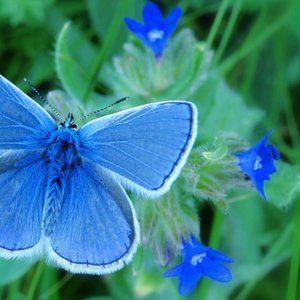 Meet your Posher, Seluj